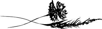 Korenhalm-1-mirror